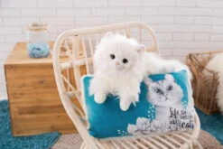 Nici 48092 Kissen Katze Meowlina Rechteckig 43x25cm Life Is Better With Cats -Spielzeug Angebote 48091 10 48092 Milieu 2048x1365